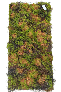 soil-moss clump
